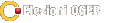 Elezioni OGER