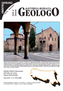 ingrandisci copertina  ANNO X/2010 - N.40 - Nuova Serie